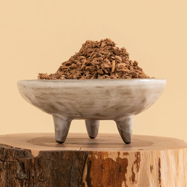 sandalwood plant used as traditional medicine
